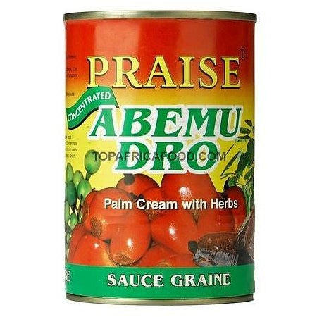 Praise Abemudro Sauce Graine 