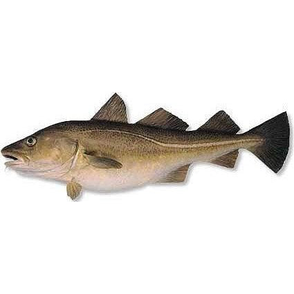 Afp Stockfish Morue Cod 