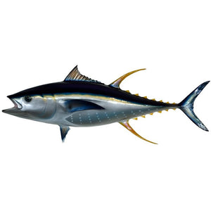 Mooi Yellowfin Tuna Thon Steaks 